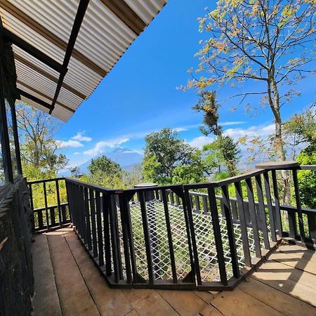 Villa Laurel Antigua Extérieur photo